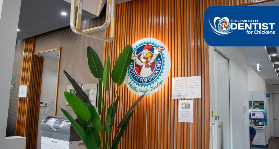 Dentists-for-Chikens-2026